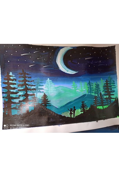 Shooting Star gazing kids Shooting Star gazing kids